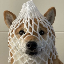 Wrapped Dog（WDOG）