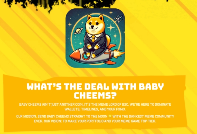Babycheems 是什么以及为什么它在加密货币中流行