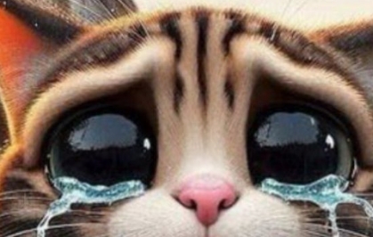 一文了解MEOW：借助AI和社交平台打破加密世界的边界