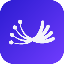 Dill（DL）